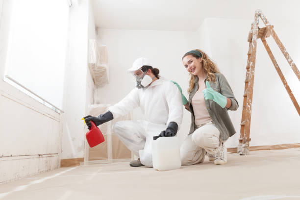 Best Mold Remediation for Healthcare Facilities  in Gardendale, TX